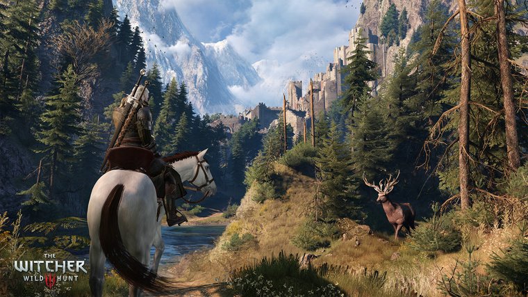 Witcher 3: The Wild Hunt, looking towards a castle.