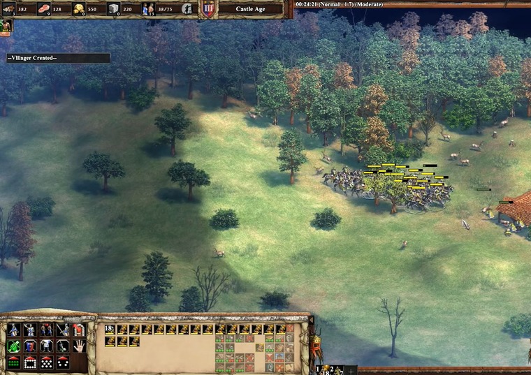Age of Empires II