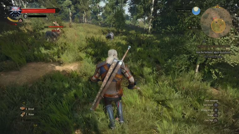 The Witcher 3: Wild Hunt