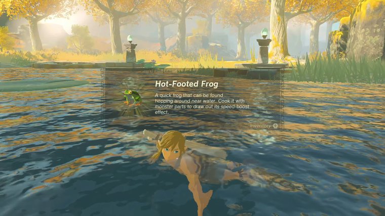 The Legend of Zelda: Tears of the Kingdom