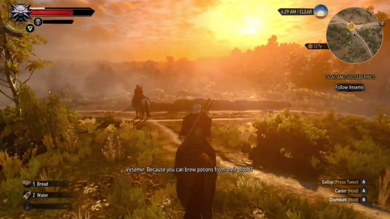 The Witcher 3: Wild Hunt