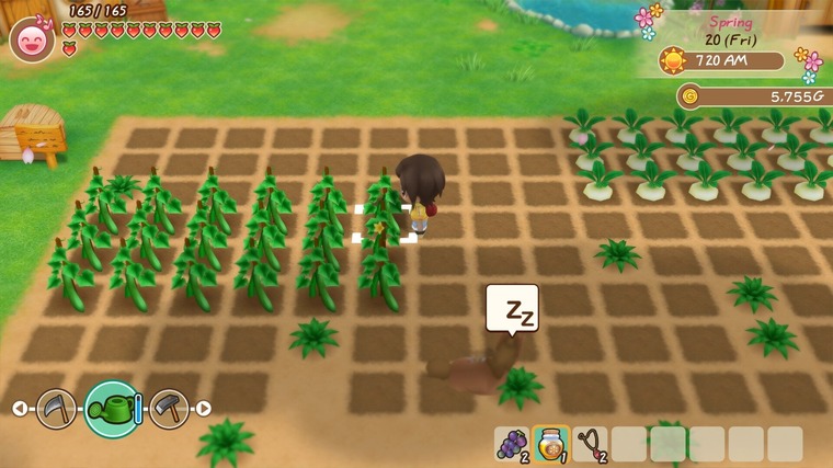 A boy waters his crops in Story of Seasons Friends of Mineral town