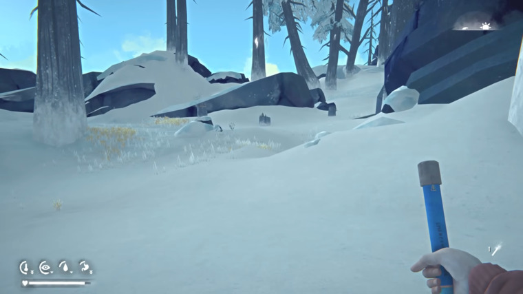 The Long Dark