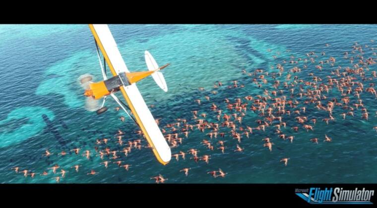 Microsoft Flight Simulator 2020 - Best Overall