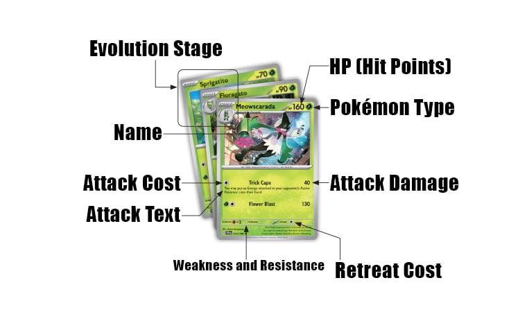 The Anatomy of a Pokémon Card
