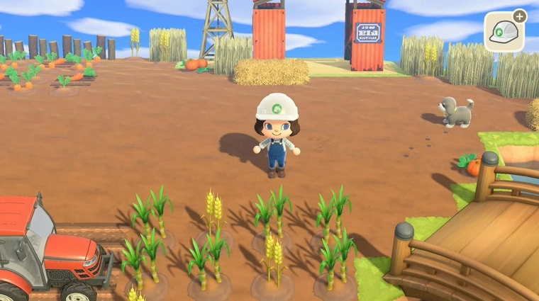 Animal Crossing: New Horizons