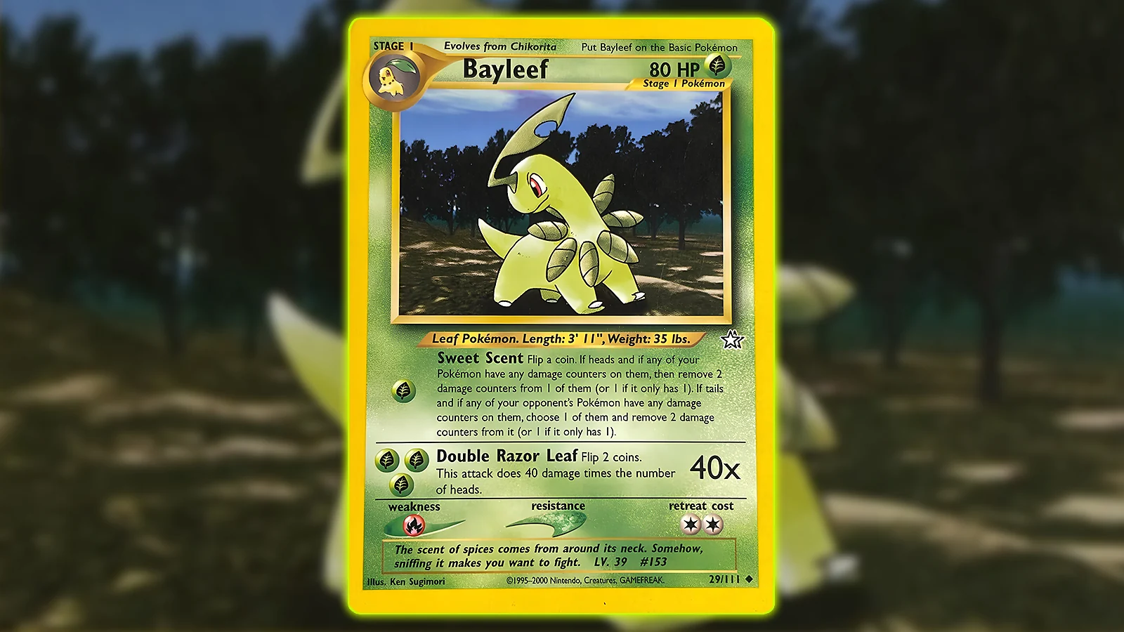 Pokémon TCG: Neo Genesis set - Bayleef card
