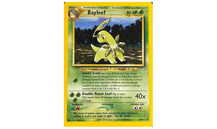 Bayleef