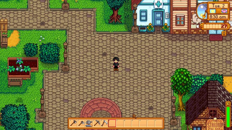 Stardew Valley
