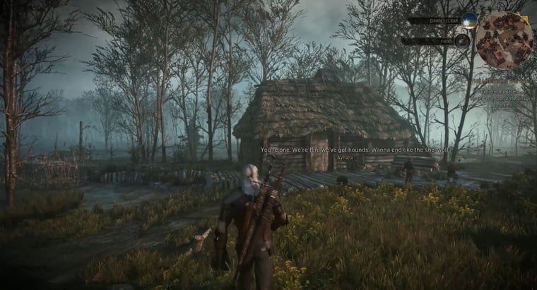 The Witcher 3: Wild Hunt