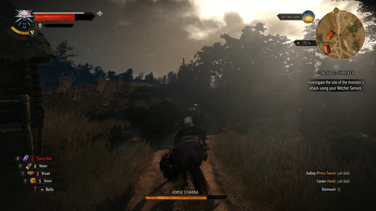 The Witcher 3: Wild Hunt
