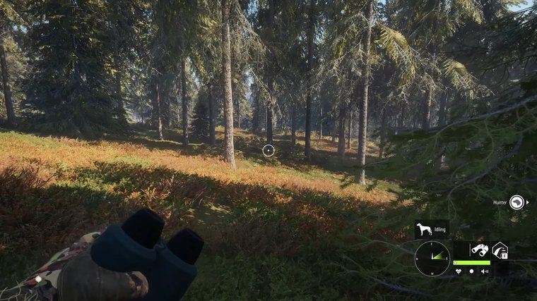 theHunter: Call of the Wild