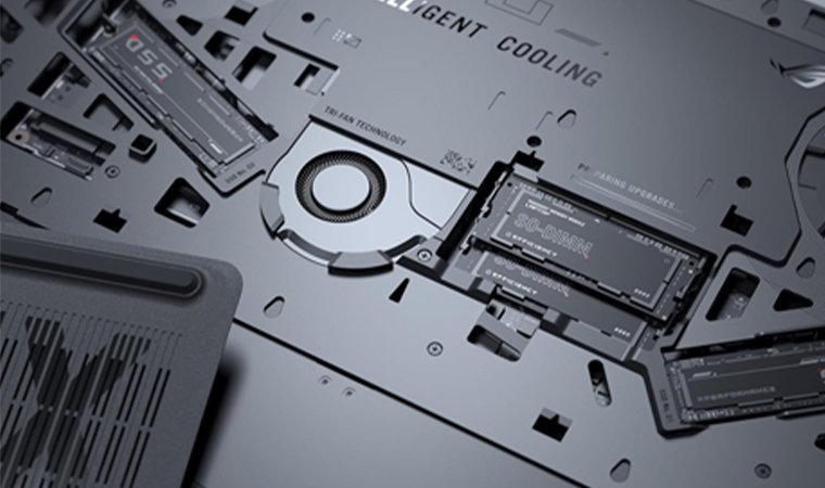 A Laptop's Back Showcasing Various Components