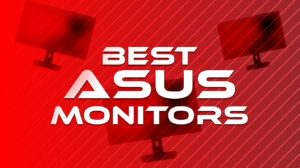Best Asus Monitors For Work or Play