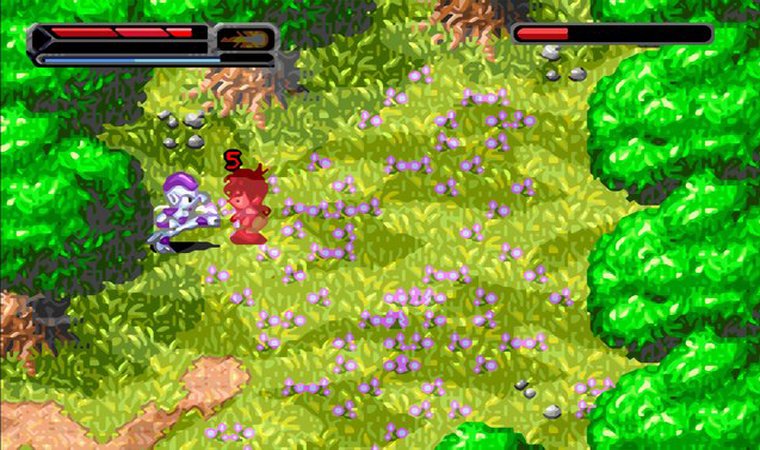 Dragon Ball Z: The Legacy of Goku II