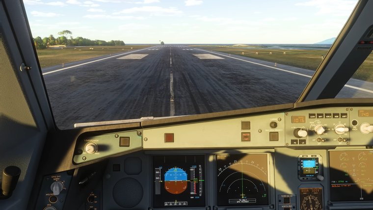 Microsoft Flight Simulator - Best for Realism and Immersion