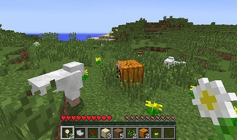 Minecraft