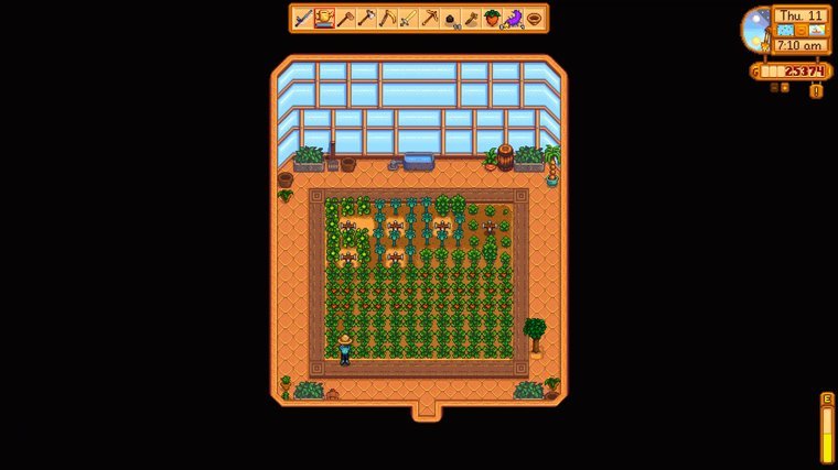 Stardew Valley