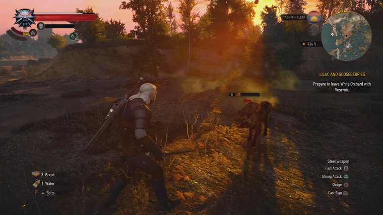 The Witcher 3: Wild Hunt