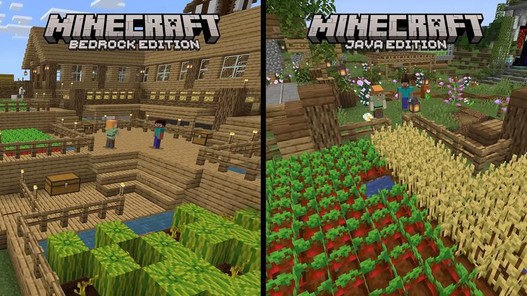 Minecraft: Java and Bedrock Edition
