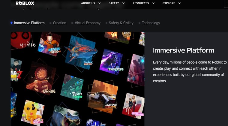 Roblox website view