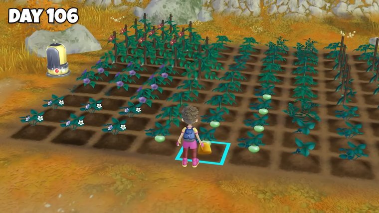 Story of Seasons: A Wonderful Life Remake - Best Harvest Moon Game for Heartfelt Generational Growth