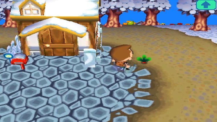 Animal Crossing: Wild World - Best DS Game that Feels like Living in a Pocket Village