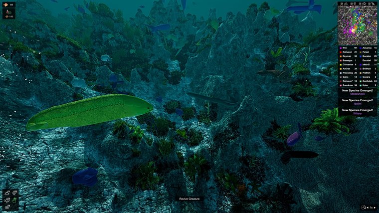Ecosystem - Watch Sea Life Grow