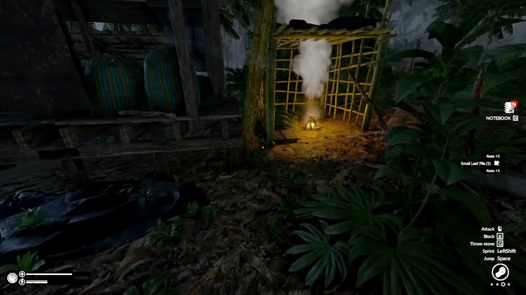 Green Hell - Best Jungle Survival with Psychological Twist