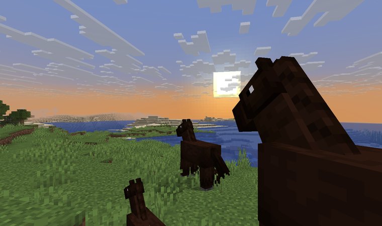 Minecraft - Three horses looking at a sunset