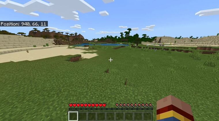 Minecraft - Walking on a grass near a body of water