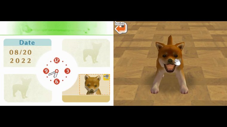 Nintendogs - Best DS Game that Makes Pets More Real than Ever