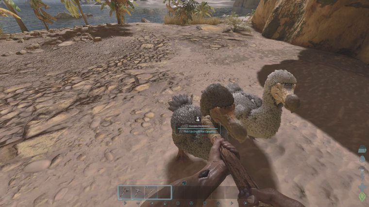 Ark: Survival Ascended - A Stunning Unreal Engine 5 Rebuild