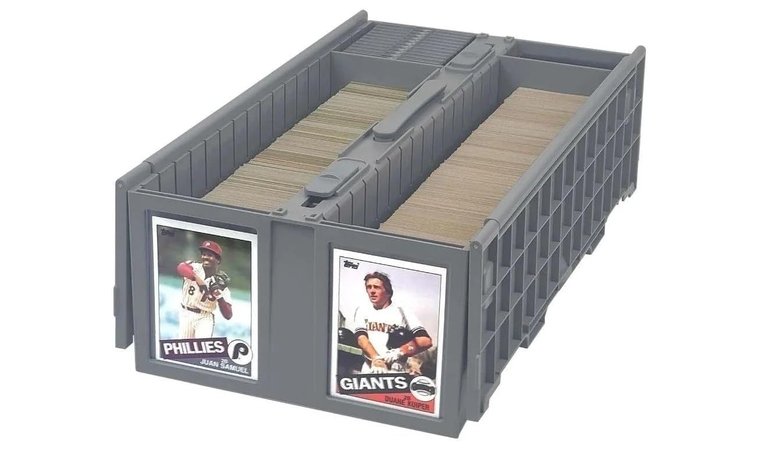 BCW Collectible Card Bin - Best Durable Plastic Card Bin