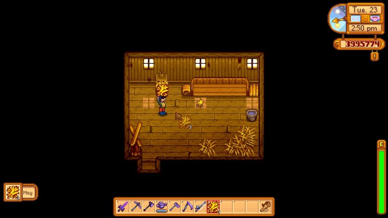 Feeding Chickens In Stardew Valley Made Easy