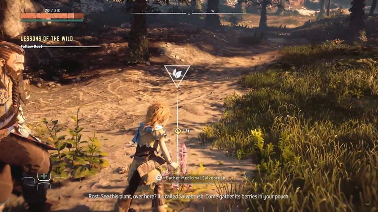 Horizon Zero Dawn - A Post-Apocalyptic Search for Truth