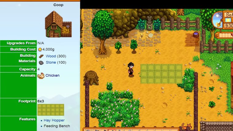 How to Build a Chicken Coop and Get Chickens