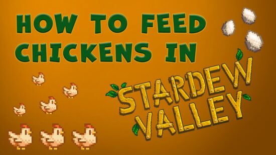 How to Feed Chickens in Stardew Valley