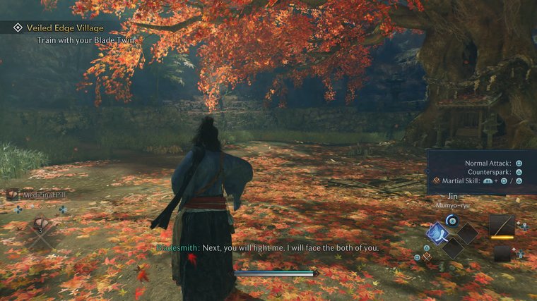 Rise of the Rōnin - Freedom and Swordplay in a Changing Japan