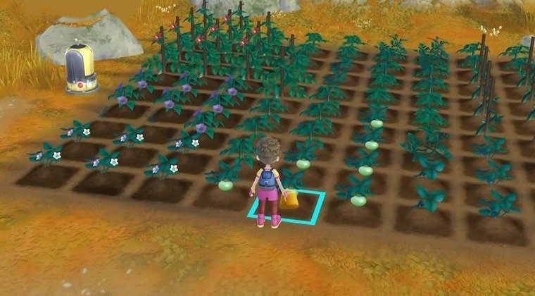 Story of Seasons: A Wonderful Life - Best for Long-Term Progression