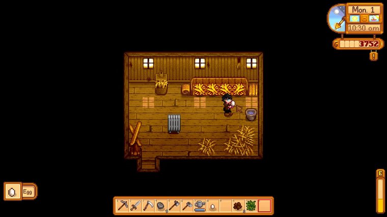 What Are Eggs Used For