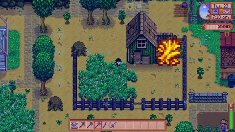 What Do Chickens Eat