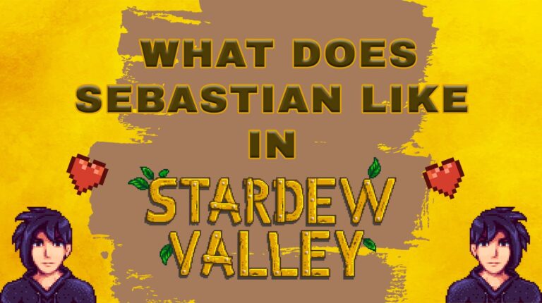 What Does Sebastian Like in Stardew Valley? Best Gifts and Schedule