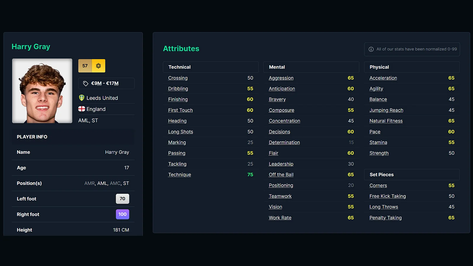 Young Striker in FM26 - Harry Gray