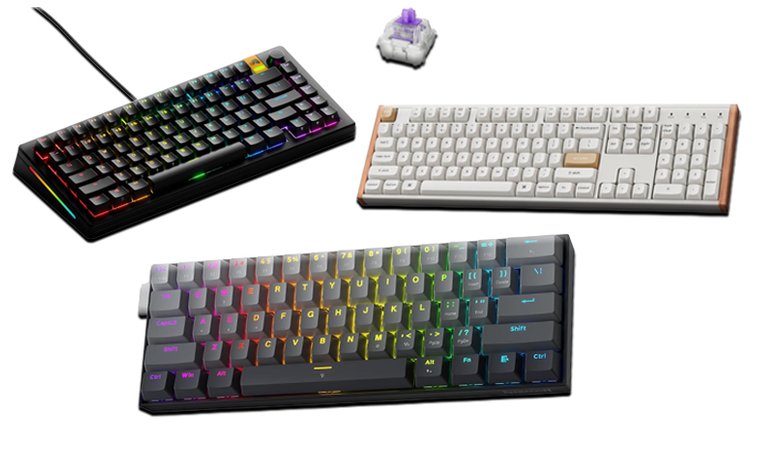 Three keyboards and one keyboard switch on a white background.