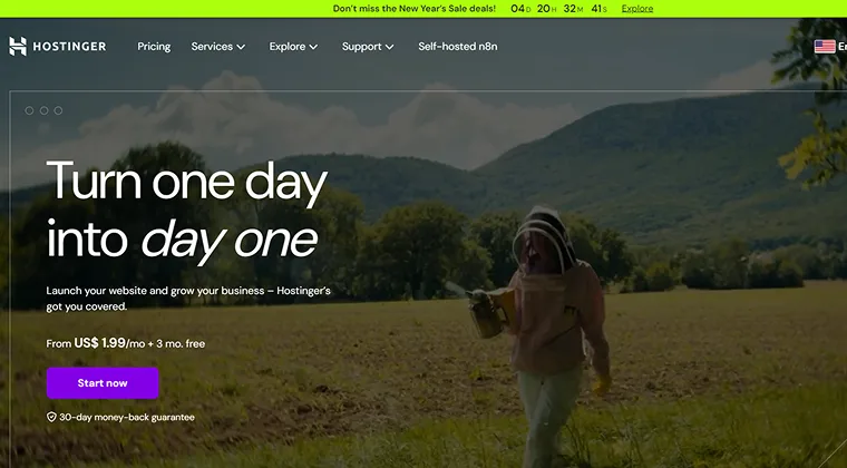 Hostinger website