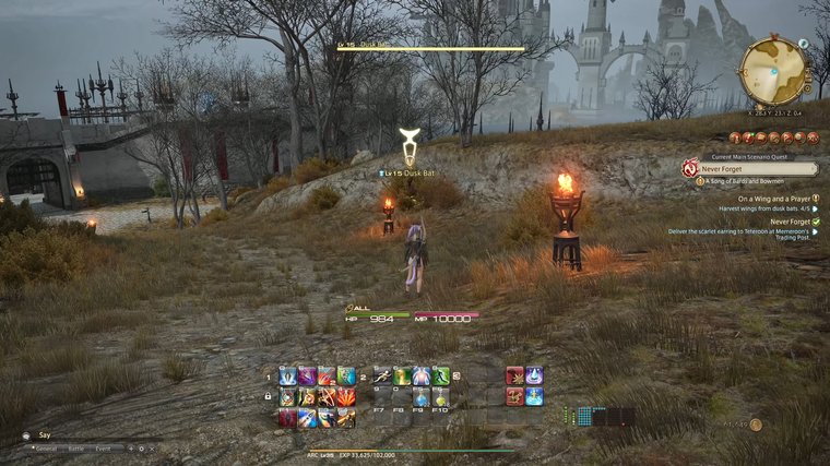 Final Fantasy XIV - standing outside near a bat enemy.