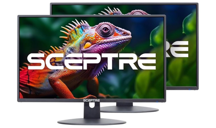 Generic 2X Pack - Best Budget Monitor for Dual Setup