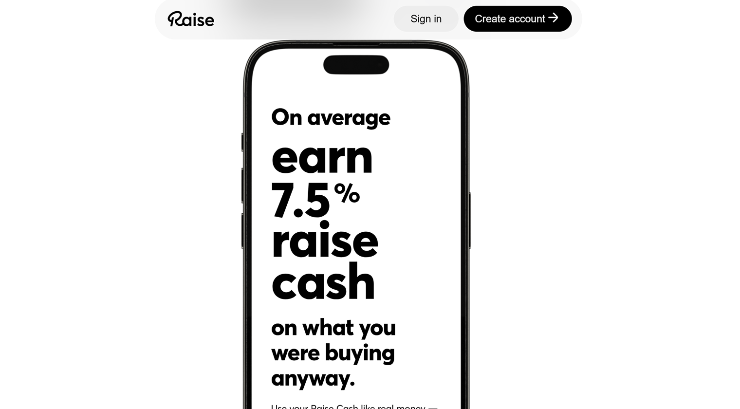Raise - Best for Setting Your Own Price