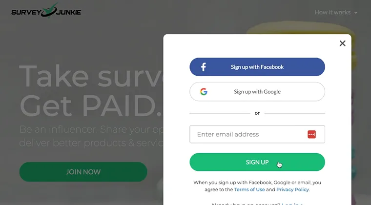 Survey Junkie